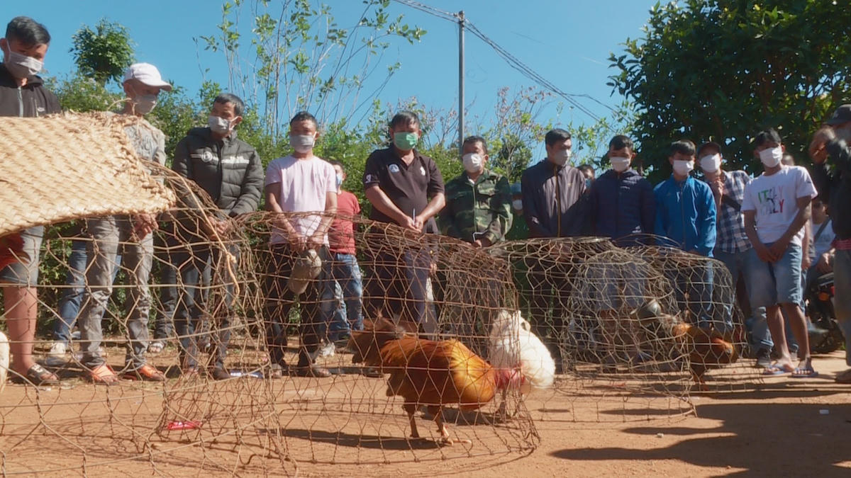 Hiện trường và các đối tượng liên quan đến hành vi đánh bạc