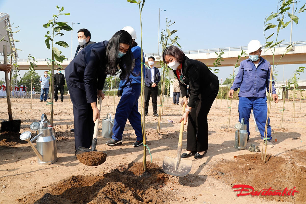 Hà Nội tổ chức Lễ phát động Tết trồng cây Xuân Tân Sửu 2021