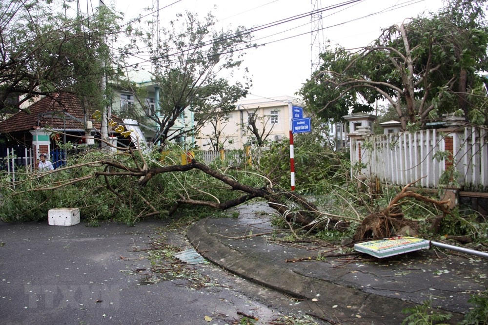 Gió bão làm gãy, sập đổ hàng loạt cây xanh, hàng quán trên các tuyến phố trong địa bàn thành phố Tam Kỳ, tỉnh Quảng Nam. (Ảnh: Trịnh Bang Nhiệm/TTXVN).