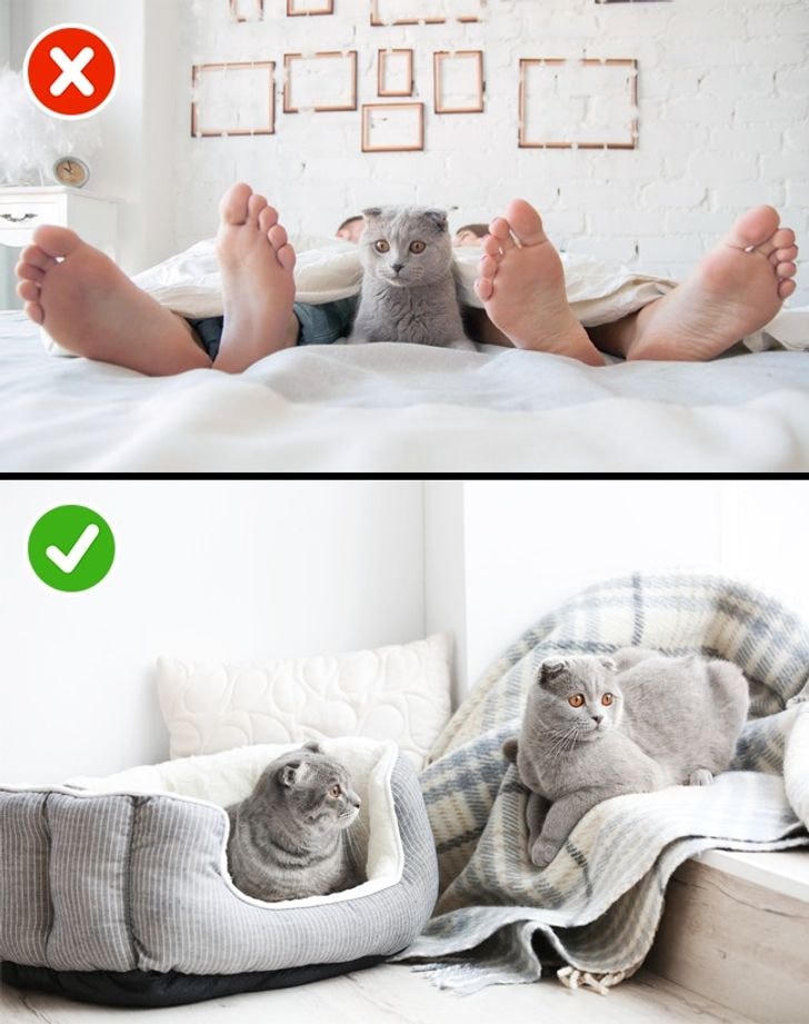 10 điều các cặp đôi hạnh phúc nên làm trước khi đi ngủ