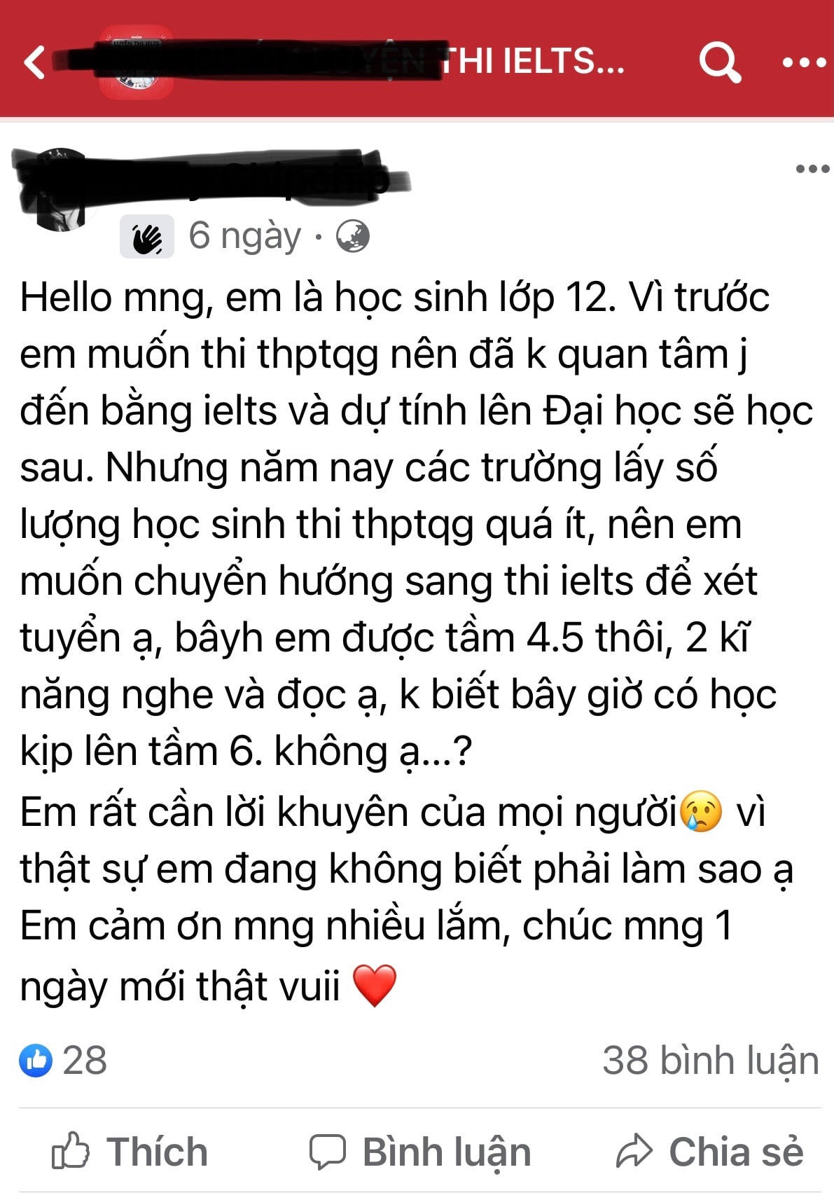 Nhiều học sinh lớp 12 đang cấp tốc học và ôn thi chứng chỉ ngoại ngữ.