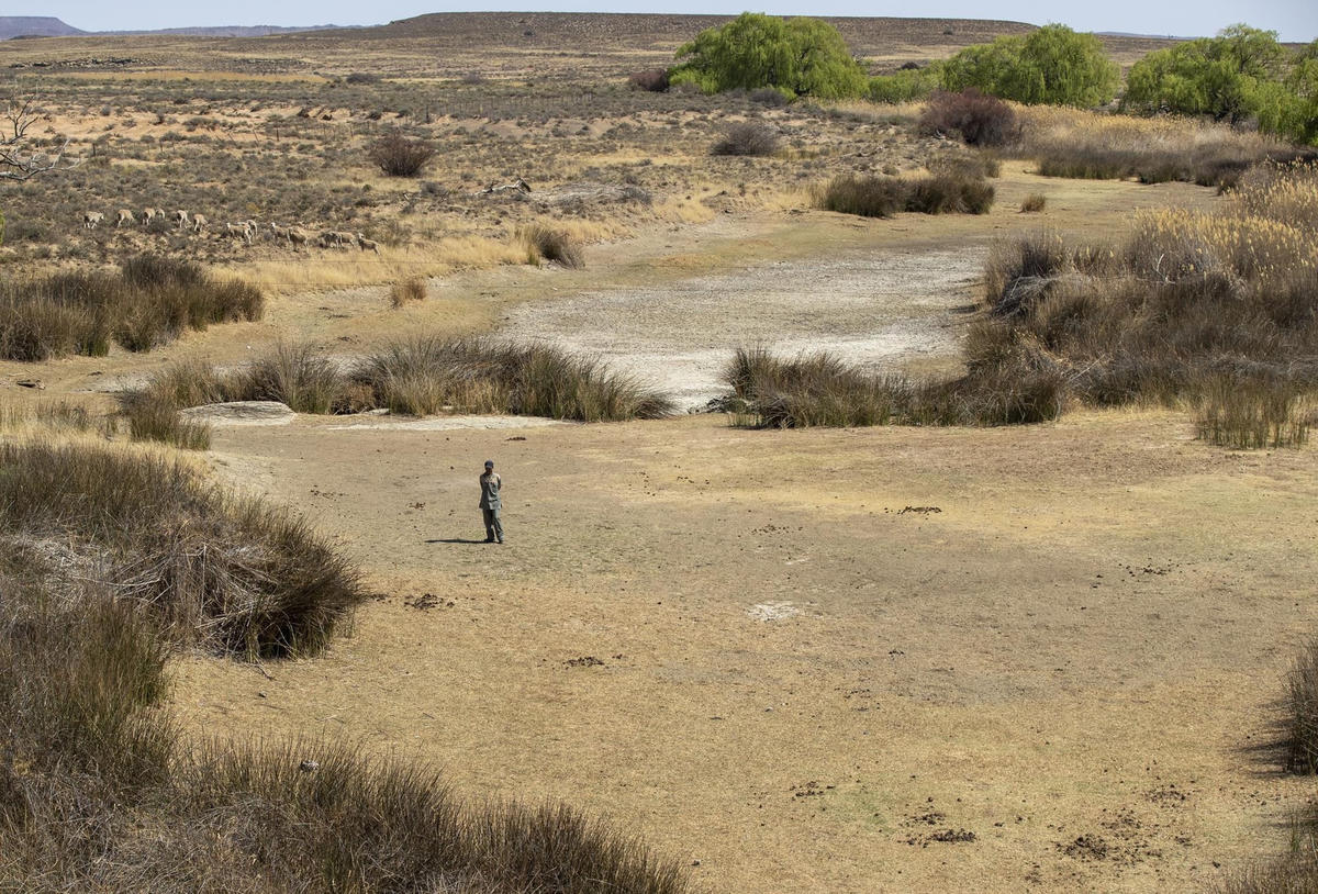 Một người chăn cừu đứng dưới đáy một con sông khô cạn ở Colesberg, Northern Cape, Nam Phi vào ngày 24/9/2021. Ảnh: Themba Hadebe/AP.