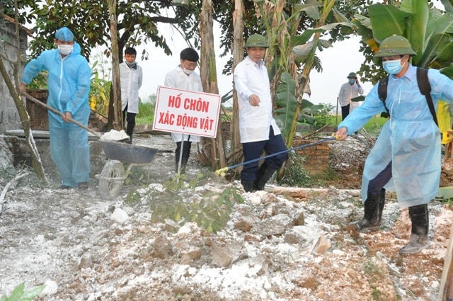 Thanh Hoá kiểm soát tốt dịch bệnh và đẩy mạnh phát triển chăn nuôi.