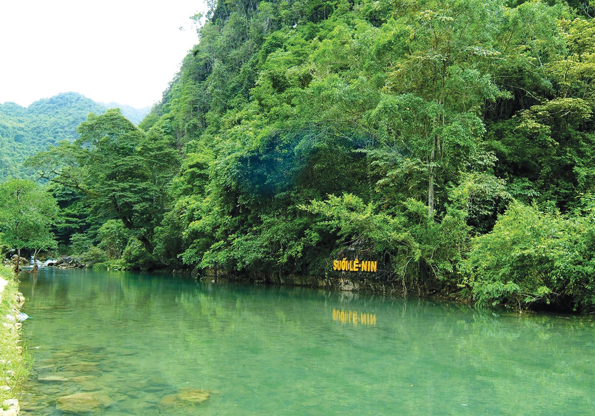 Suối Lê nin.