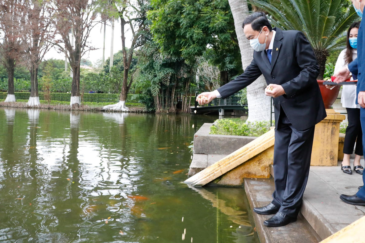 Chủ tịch UBTƯ MTTQ Việt Nam Trần Thanh Mẫn cho cá ăn tại ao cá Bác Hồ thuộc Khu Di tích Chủ tịch Hồ Chí Minh tại Phủ Chủ tịch. Ảnh: Quang Vinh.