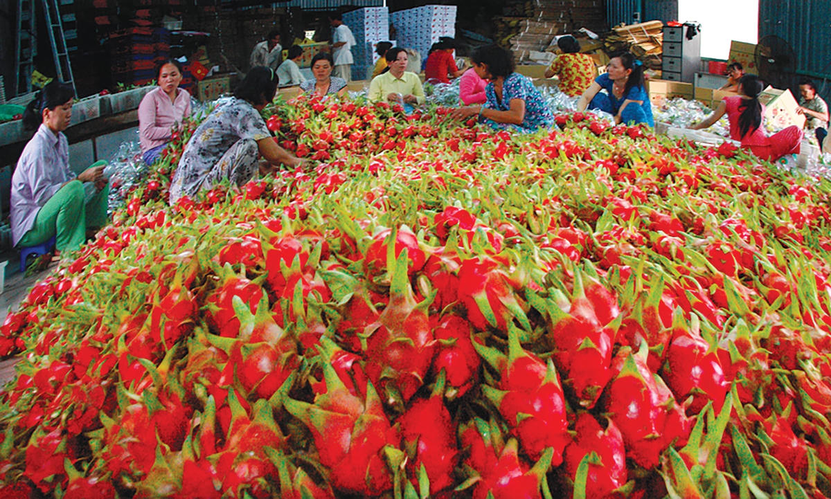 Thành công trong giông bão