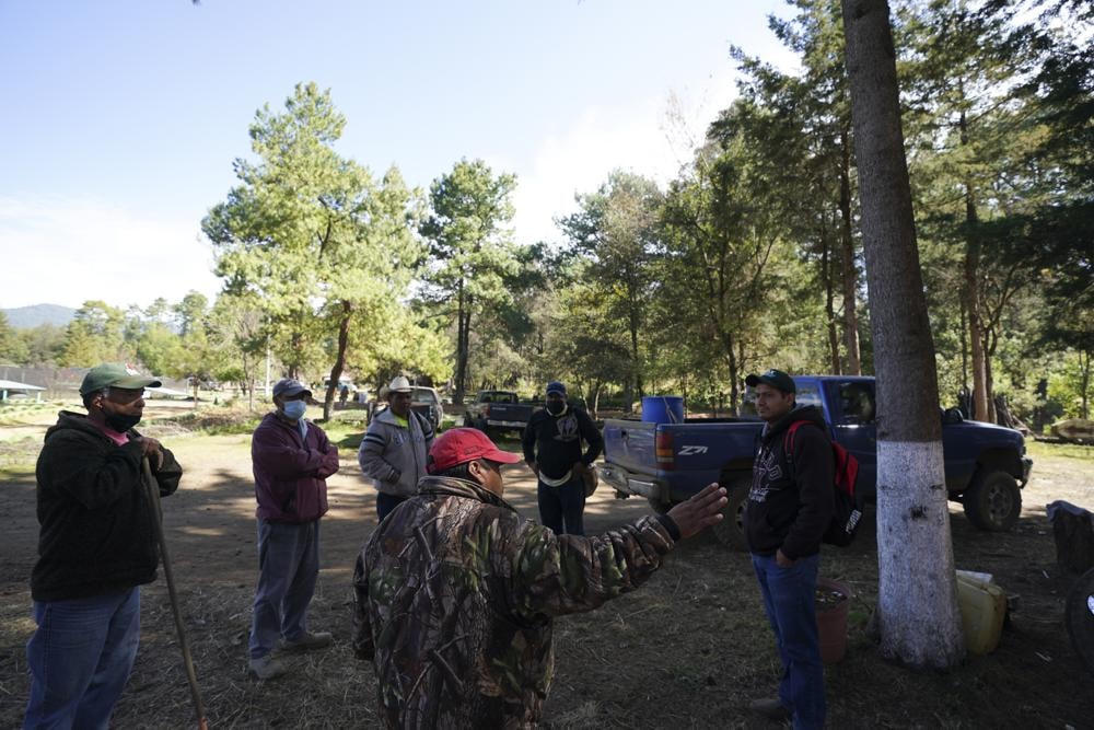 Đội tuần tra bảo vệ rừng thông tại thị trấn Cheran. Ảnh: AP.