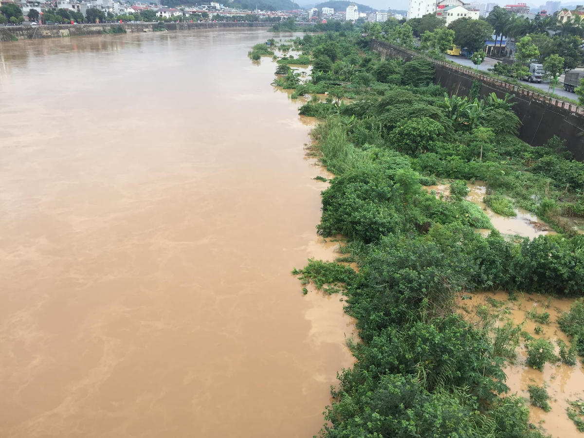 Nhiều cây trồng ngập chìm trong nước lũ.