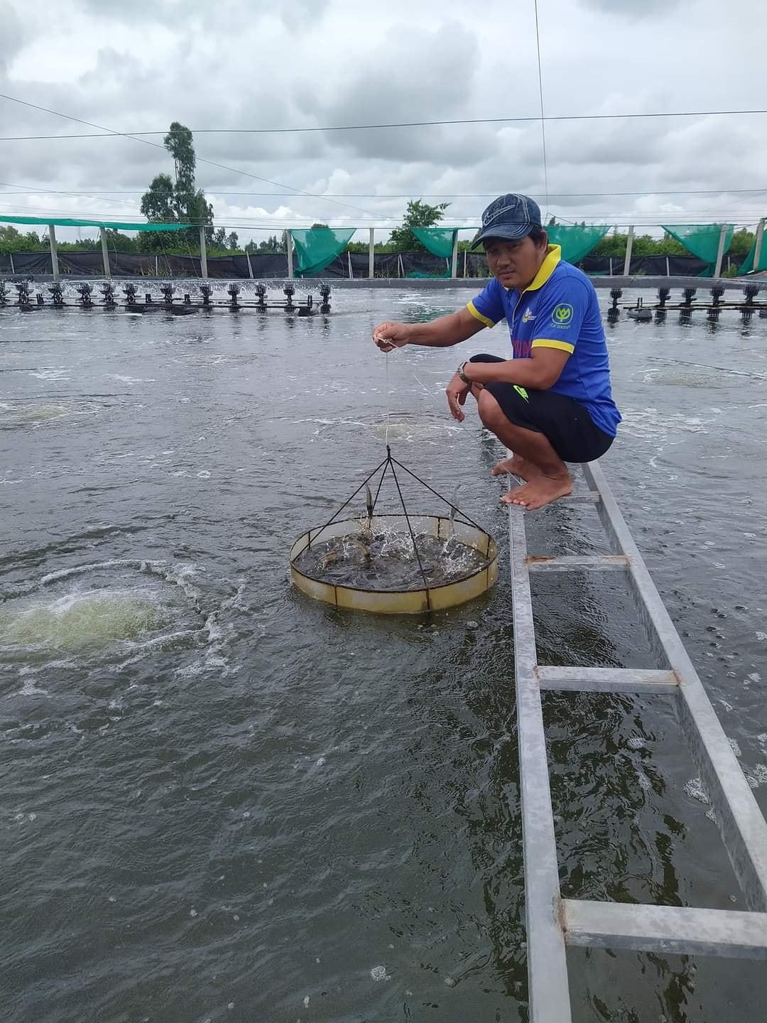 Mô hình nuôi tôm ứng dụng công nghệ cao đã chứng minh được hiệu quả và đang lan tỏa trong dân.