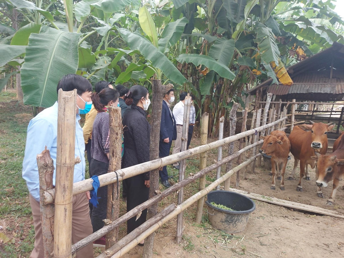 Đến nay, hầu hết các địa phương thực hiện dự án, số vật nuôi đã được nhân lên gấp đôi, gấp ba số con giống ban đầu, tạo điều kiện cho nhiều hộ khác được hưởng lợi từ dự án.