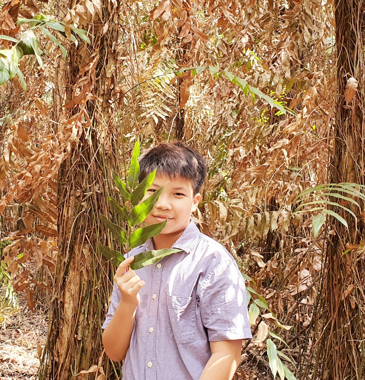 Cao Khải An.