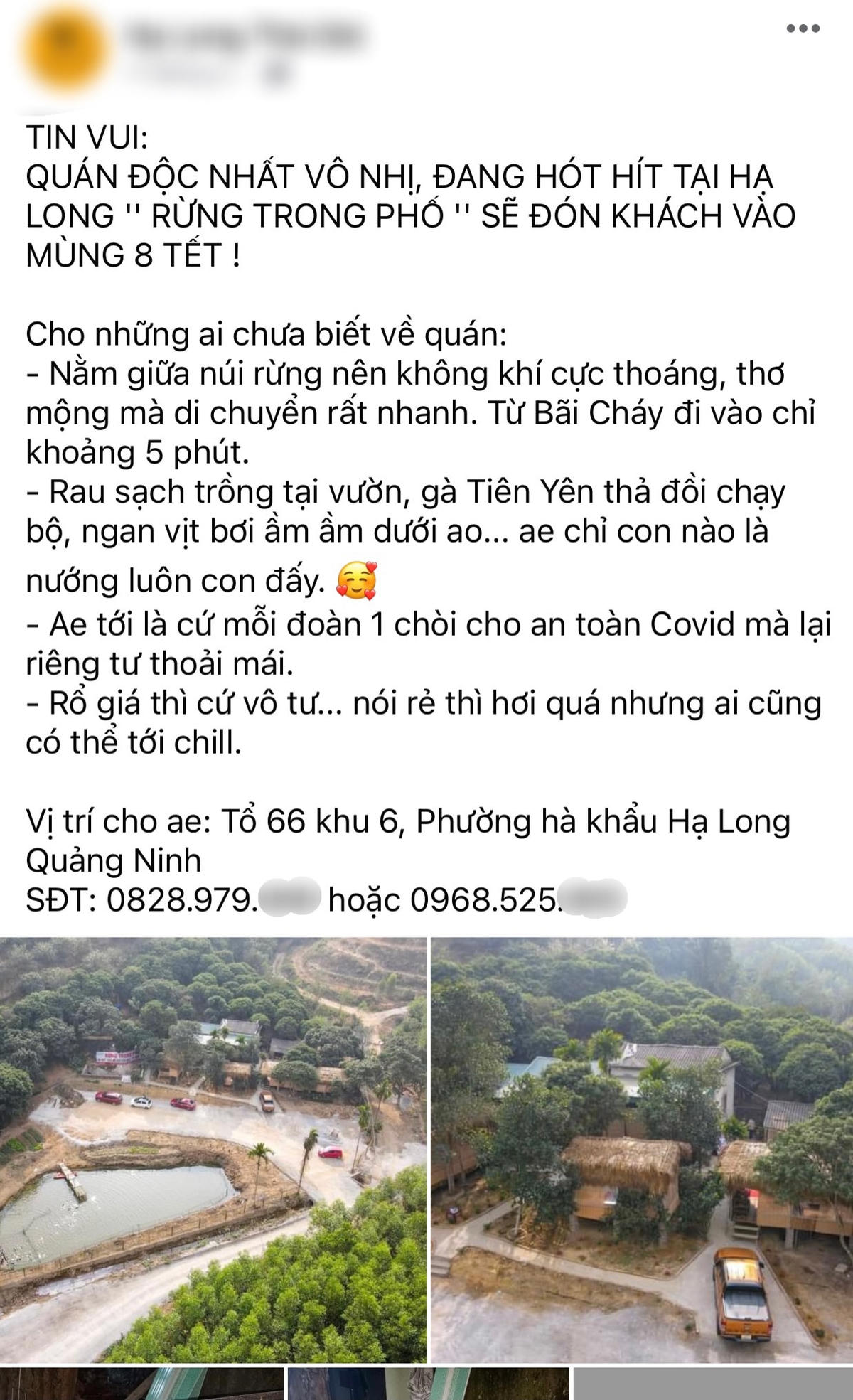 Bài đăng giới thiệu về "Rừng Trong Phố" trên mạng xã hội thu hút nhiều lượt xem.