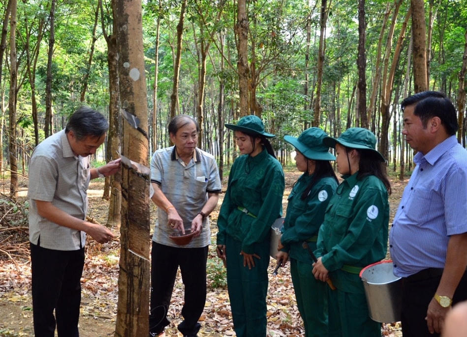 Sự gần gũi, chia sẻ giữa lãnh đạo Công ty và người lao động chính là yếu tố quan trọng làm nên thành công của Công ty Cao su Việt Lào.