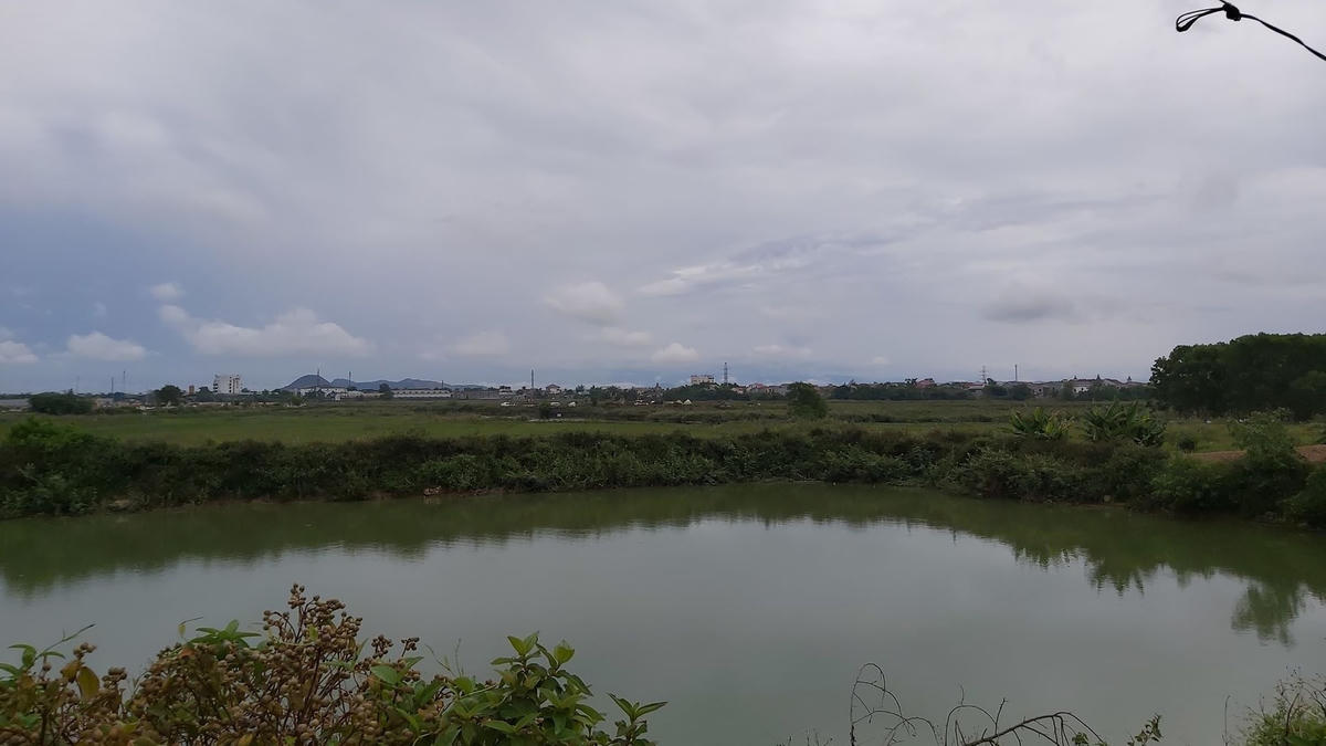 Dù có Quyết định phê duyệt vào năm 2010 nhưng đến nay khu đất gần 15ha này chỉ là một bãi đất hoang.