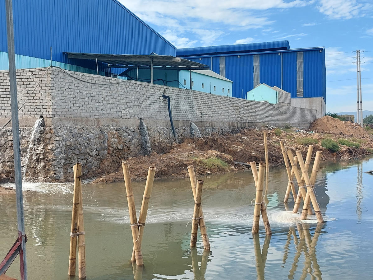 Công ty chế biến hải sản Ngọc Sơn xả thải trong thời gian đang bị tạm dừng hoạt động.