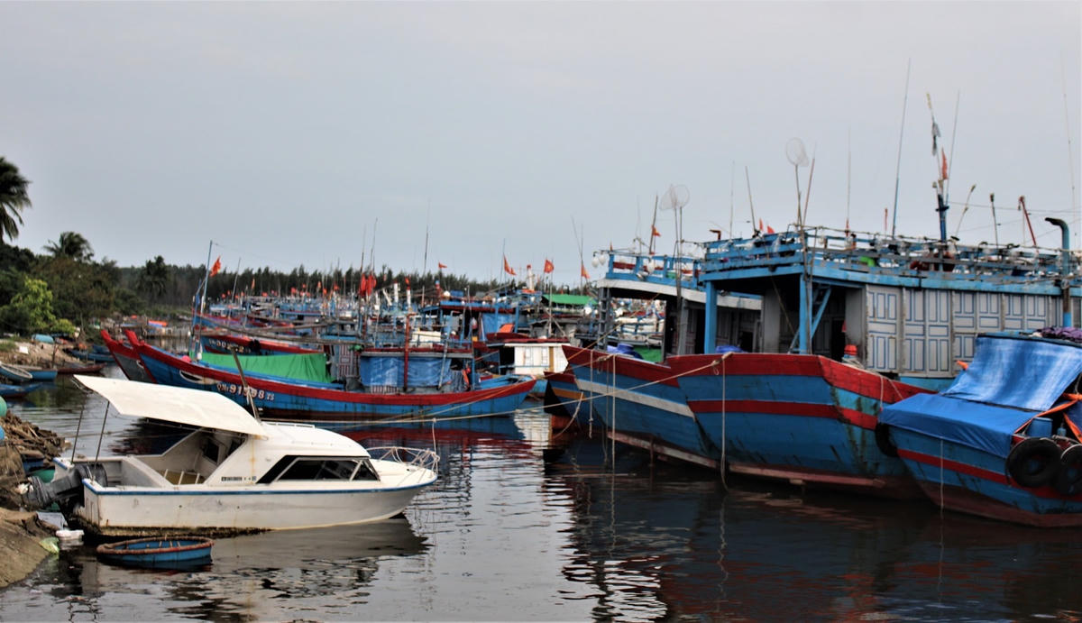 Tàu thuyền vào nơi trú bão