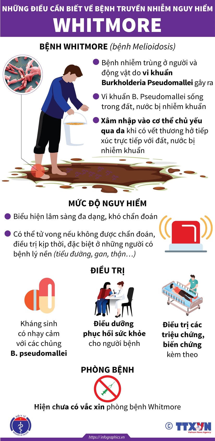 [Infographics] Những điều cần biết về căn bệnh nguy hiểm Whitmore