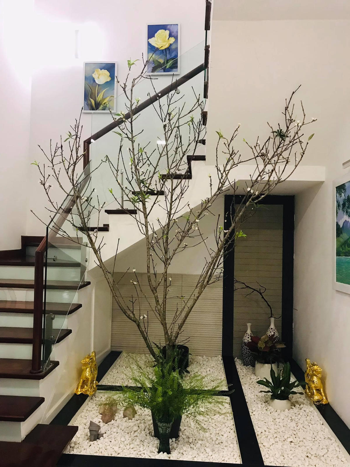 Một cành đào rừng có giá thành giao động từ vài trăm đến 2 triệu đồng. Ảnh: NVCC.
