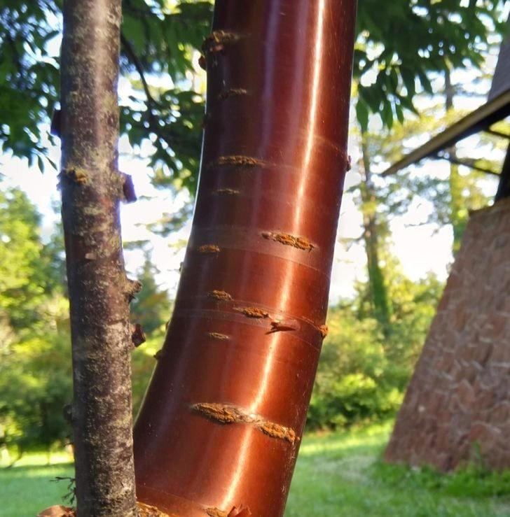 [ẢNH] 18 bức ảnh đẹp mắt&nbsp;'sáng tạo' trong tự nhiên&nbsp;