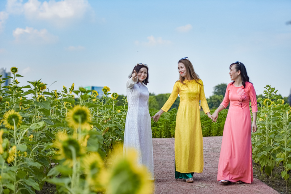 Rủ nhau check in đồi hoa mặt trời tại Eco Park