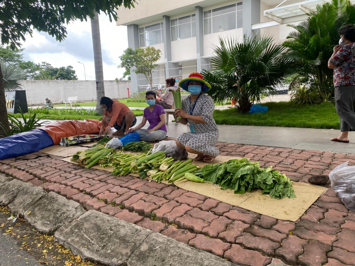 Dân chung cư chia sẻ rau xanh được