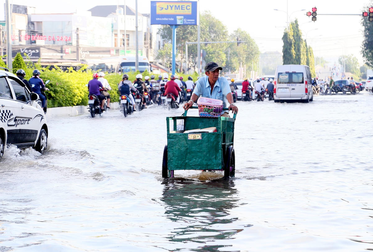 Triều cường làm ảnh hưởng đến hầu hết các tầng lớp nhân dân 