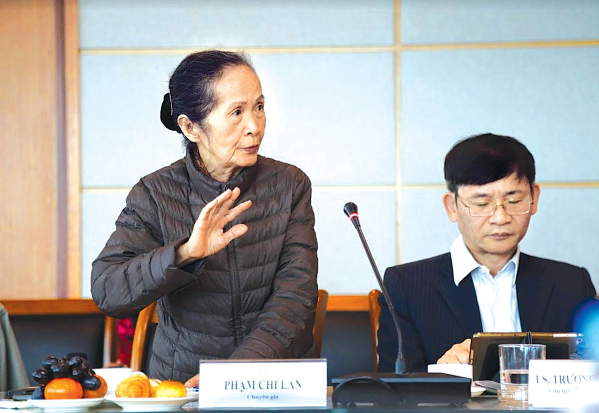 Chuyên gia kinh tế Phạm Chi Lan.