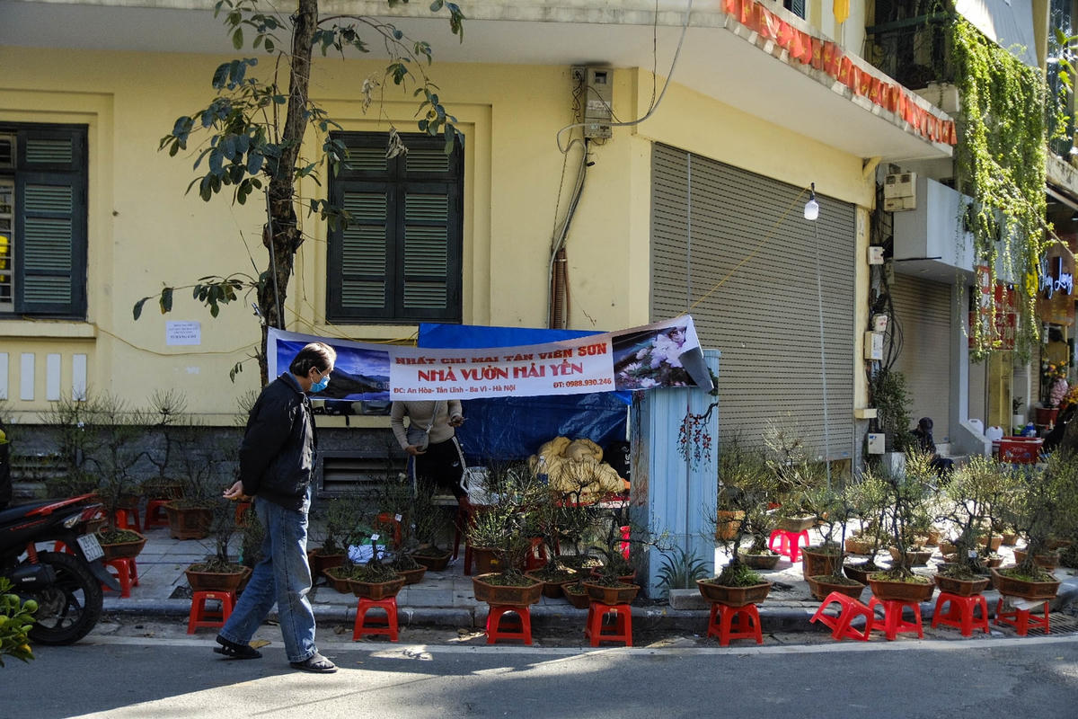 Để đảm bảo số lượng hàng được bán ra hết, nhiều tiểu thương tại chợ hoa Hàng Lược đã kết hợp hình thức livestream và bán hàng trực tuyến. Các tiểu thương chia sẻ, việc bán hàng online vừa tránh được tiếp xúc trực tiếp, vừa hiệu quả hơn nhiều so với bán trực tiếp. Bên cạnh đó, hình thức này cũng giúp các tiểu thương có thể mở rộng thị trường vào trong các tỉnh miền Nam bằng cách giao dịch qua các ứng dụng kết nối thông minh và thanh toán bằng ví điện tử.