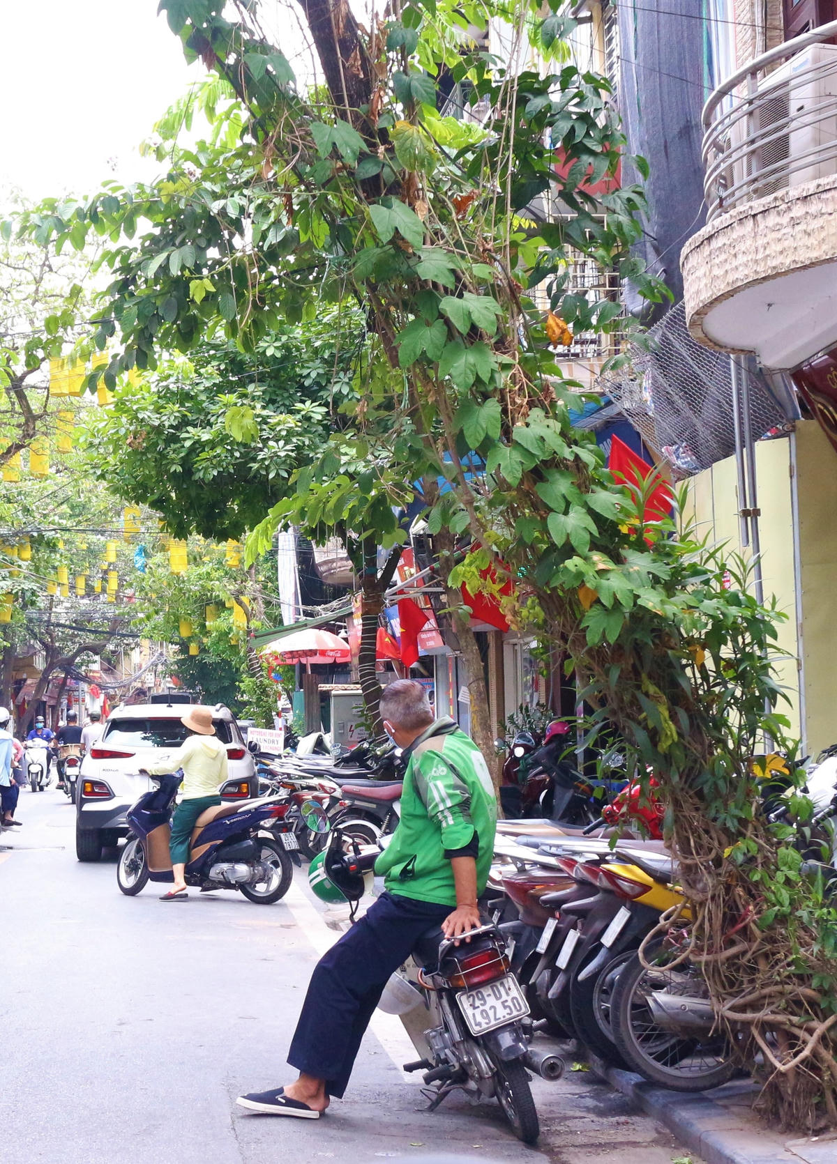 [ẢNH] Hà Nội: Ngắm nhìn nét đẹp lao động giữa mùa dịch