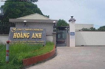 Công ty TNHH MTV Hoàng Anh bị yêu cầu phải dừng hoạt động do có nhiều sai phạm.