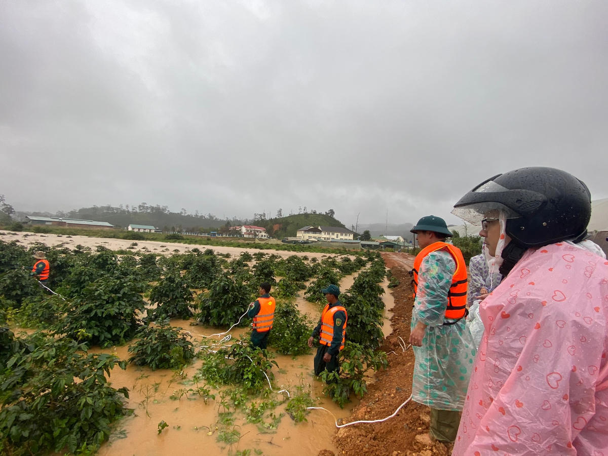 Lực lượng chức năng tiến hành tìm kiếm nạn nhân mất tích.