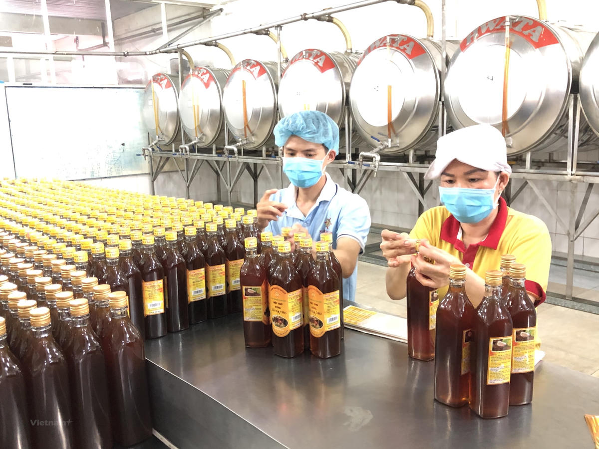 Xuất khẩu mật ong dự báo sẽ gặp nhiều khó khăn.