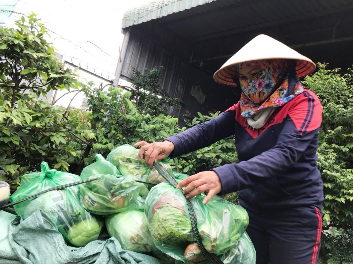 Những người mua ve chai như chị Thu không thể có rau từ siêu thị