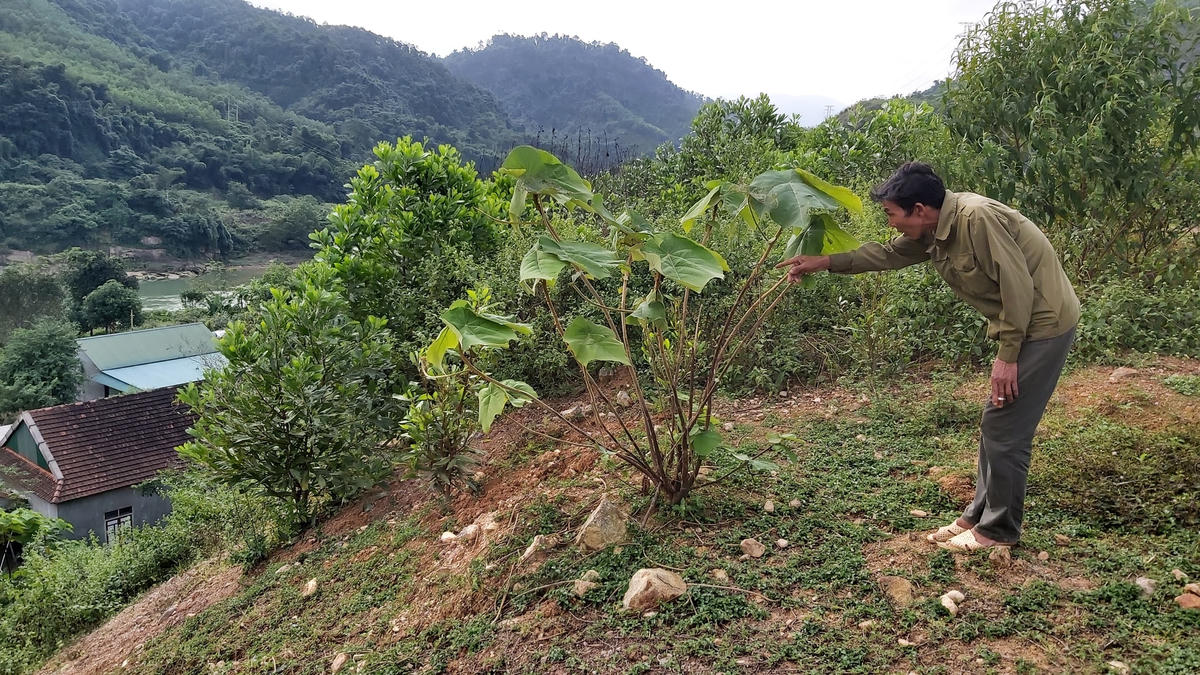 Ông Lương Văn Khiền – trú tại bản Tam Hương, xã Tam Quang bên mảnh đất bị thu hồi nhưng chưa được đền bù.