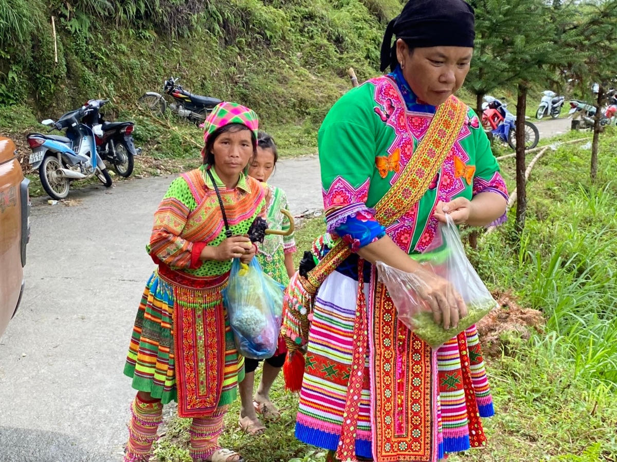 [Ảnh] Lúa chín vàng trên ruộng bậc thang, người Mông mở hội Gầu Tào