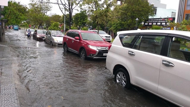 Đà Nẵng: Nhiều cây xanh bật gốc, người dân ra biển bắt cá sau bão