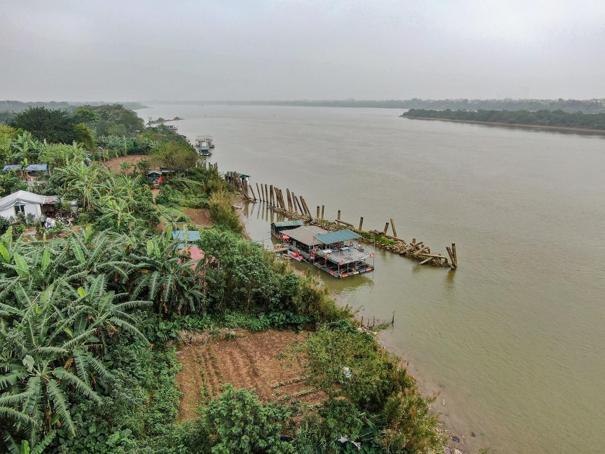 Khu vực bãi giữa, bãi bồi sông Hồng.
