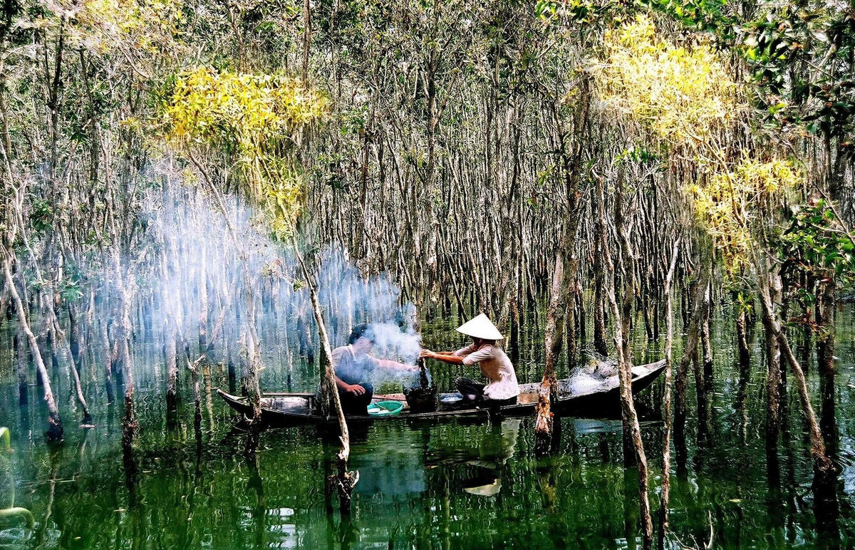 Trong rừng tràm.  