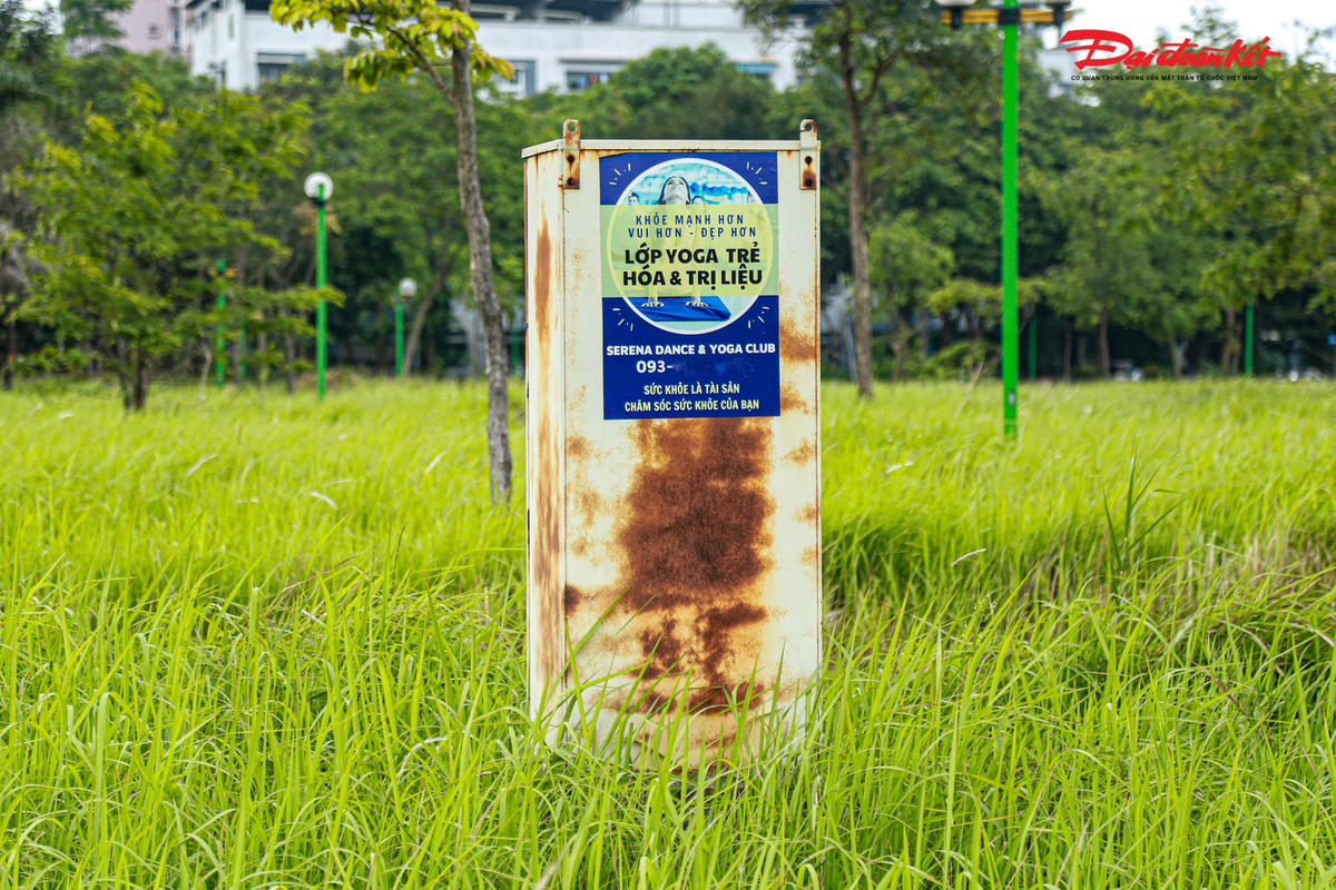 Do lâu ngày không được cắt tỉa, trong công viên cây cỏ mọc hoang dại.