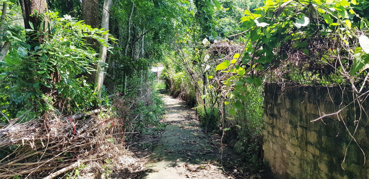 Con đường dẫn vào thắng tích Cồn chân Tiên bị chiếm dụng.  