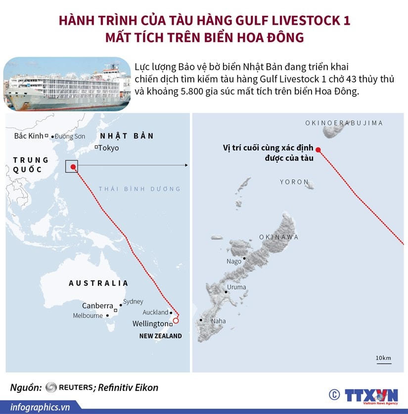 [Infographics] Hành trình của tàu hàng Gulf Livestock 1 mất tích