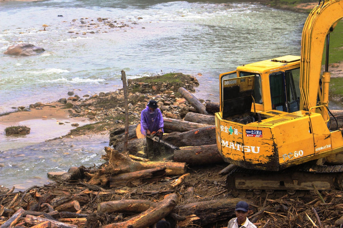 Người dân dùng cưa máy xẻ những cây gỗ lớn.