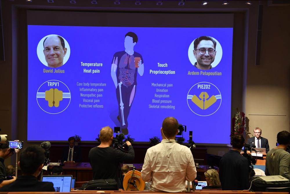 Quang cảnh lễ trao giải Nobel Y Sinh năm 2021. Ảnh: AP.