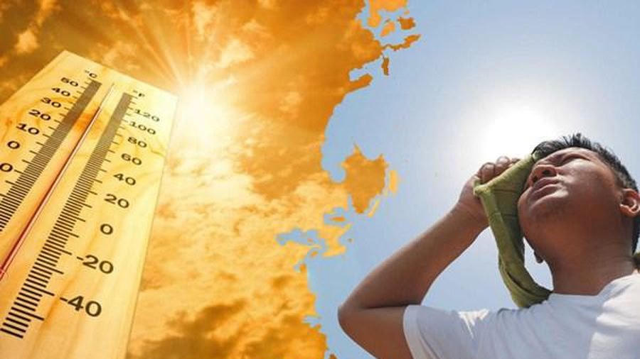 Cảnh báo một mùa hè nóng nực