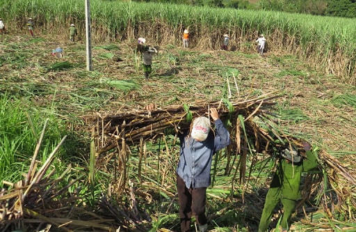 Không đổi mới, khó cạnh tranh