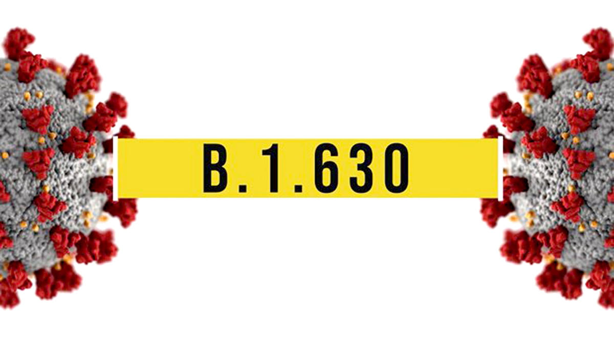 Các biến thể của virus SARS-CoV-2 vẫn ngấm ngầm sinh sôi và phát triển. Ảnh: Reuters.