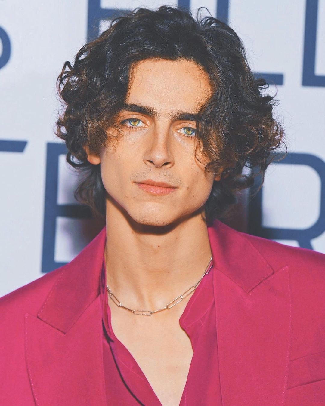 Nam diễn viên Timothée Chalamet. 