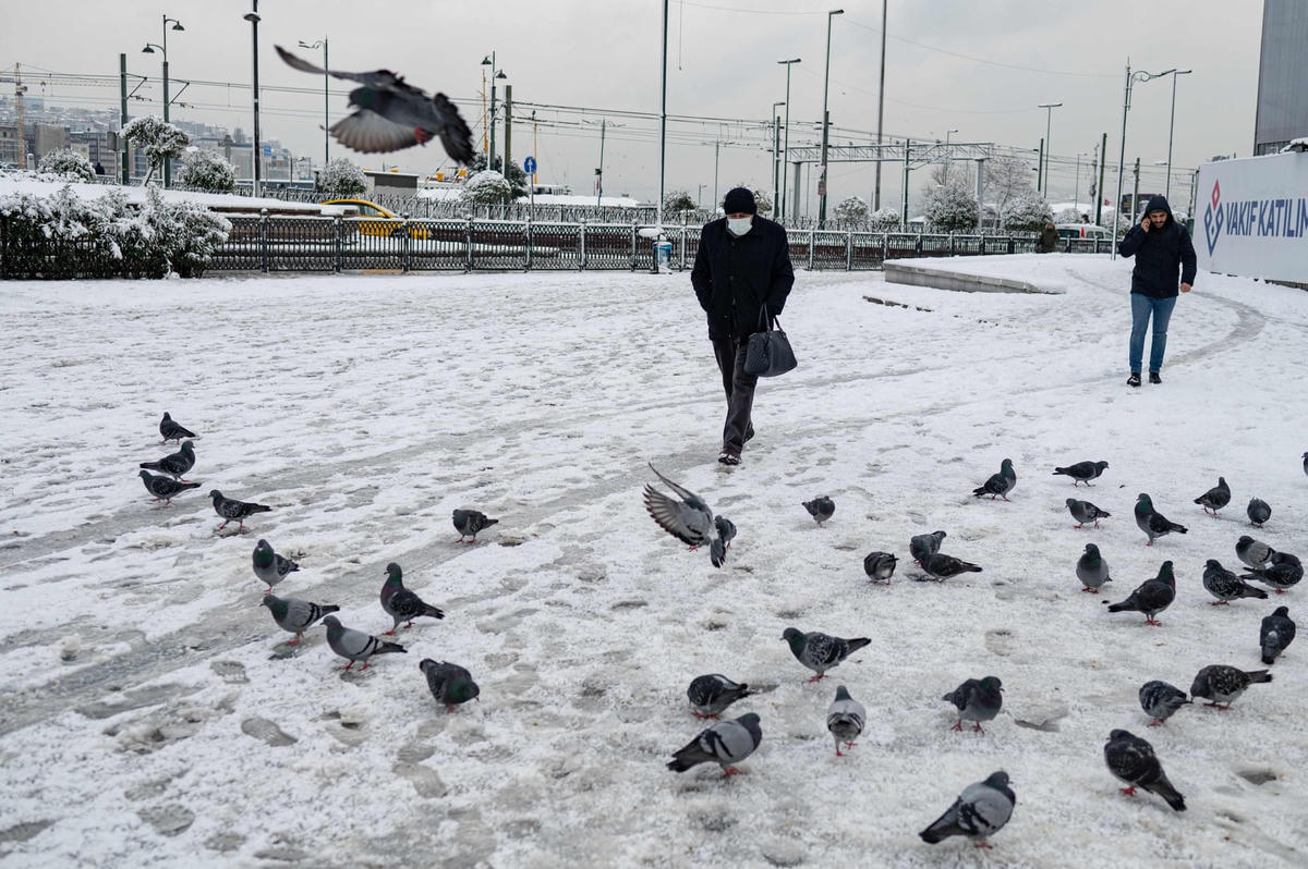 Những chú chim và người dân bất chấp cái lạnh tại quảng trường Eminonu ở Istanbul. Ảnh: Yasin Akgül / AFP / Getty Images.