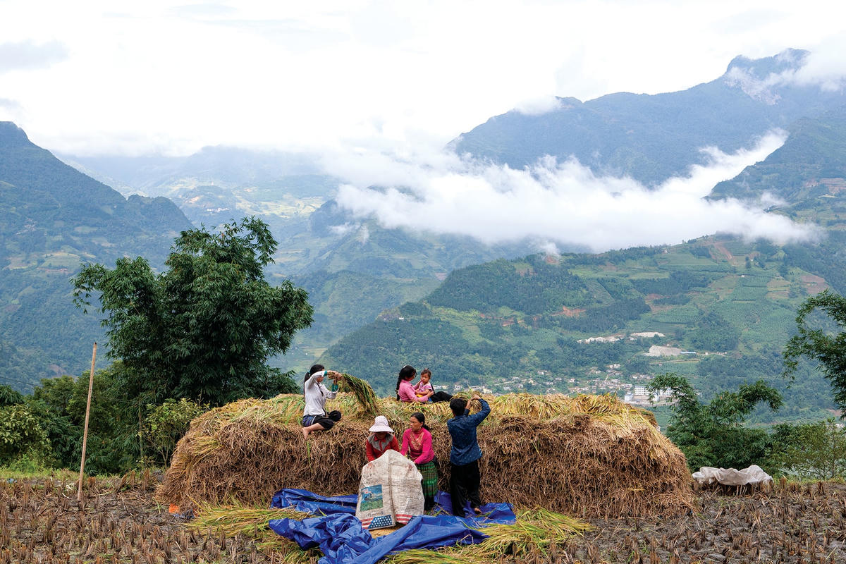Ngoài ruộng bậc thang, Y Tý còn là thiên đường của mây.