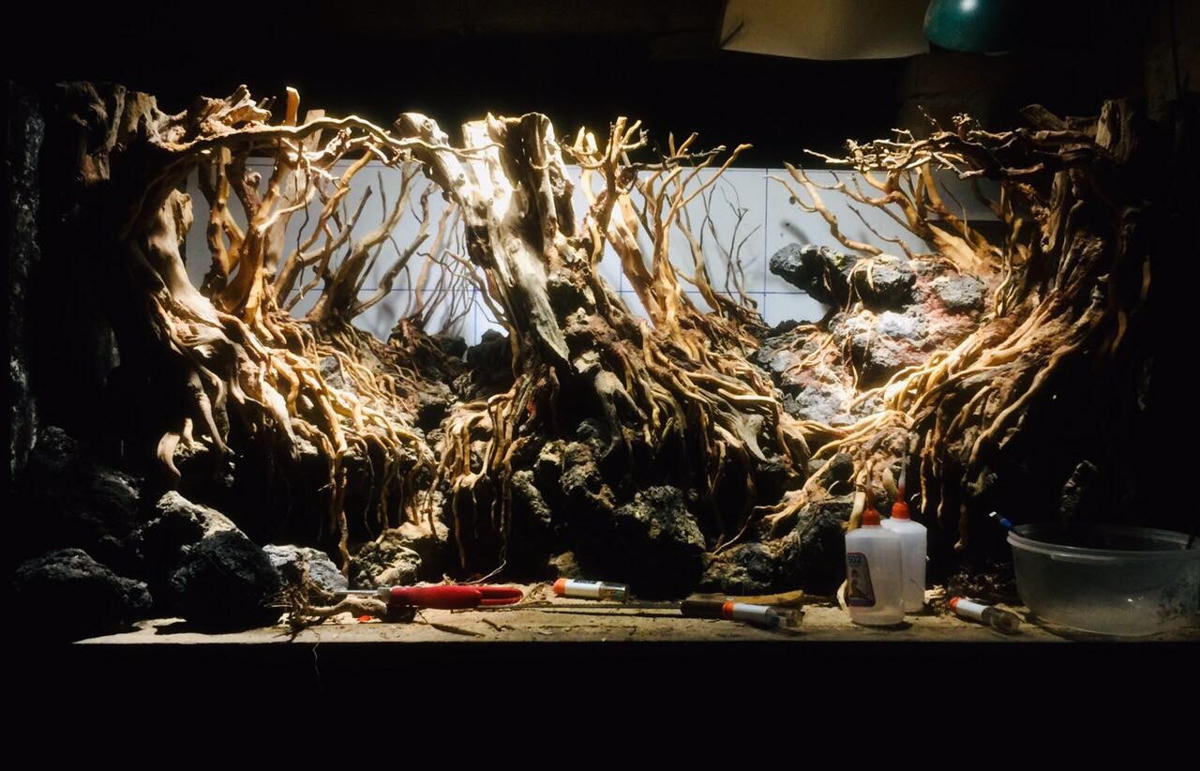 Anh Linh tận dụng những nguyên liệu gần gũi với tự nhiên để tạo nên khung cảnh trong bể thủy sinh. Ảnh: NVCC. 